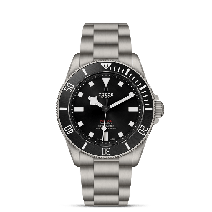 TUDOR Pelagos 39 M25407N-0001 Watch