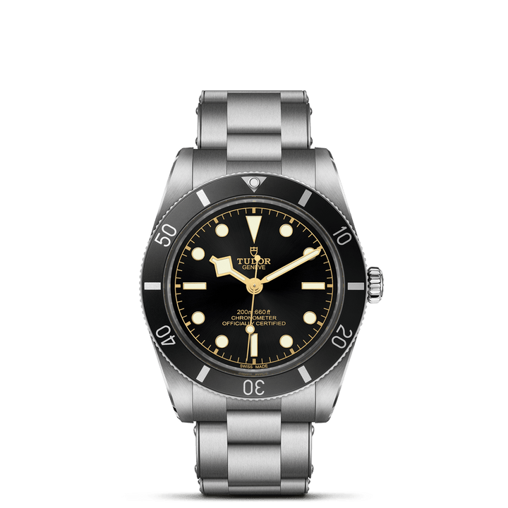 TUDOR Black Bay 54 M79000N-0001 Watch