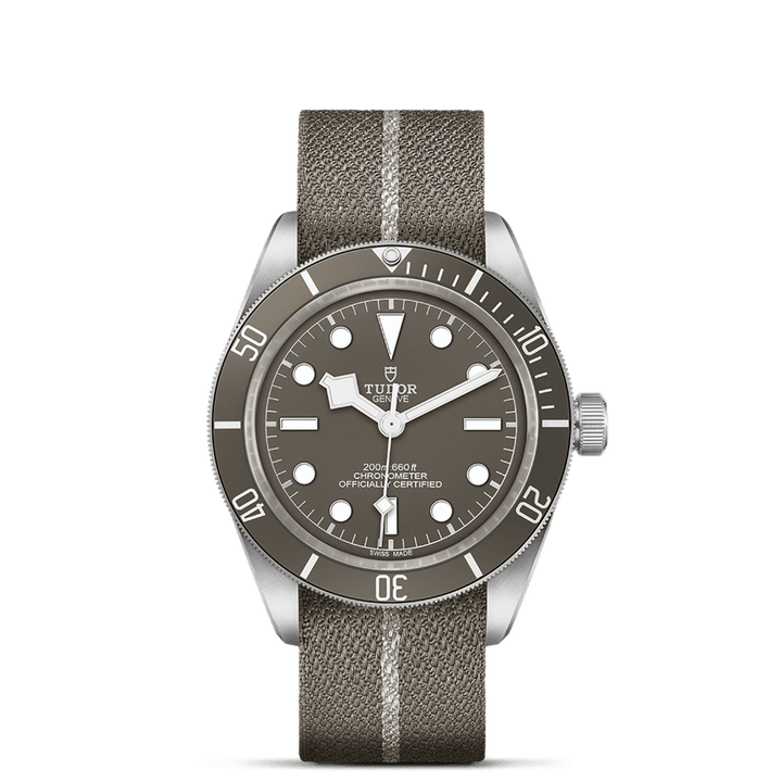 TUDOR Black Bay 58 925 M79010SG-0002 Watch