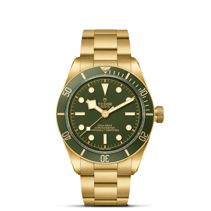 TUDOR Black Bay 58 18K M79018V-0006 Watch