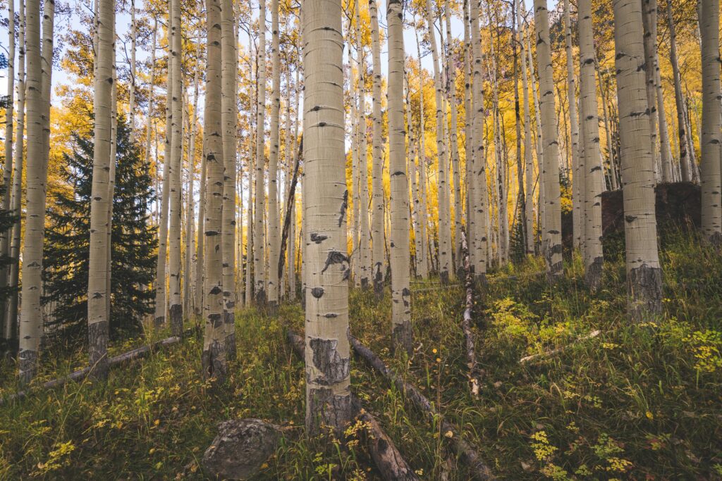 Labor Day Weekend in Aspen: Effortless Jewelry for End-of-Summer Style