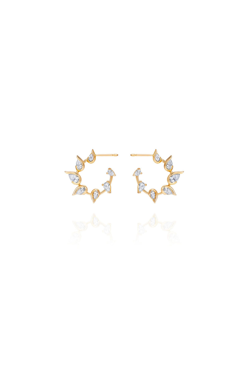 Fernando Jorge Flicker Hoops