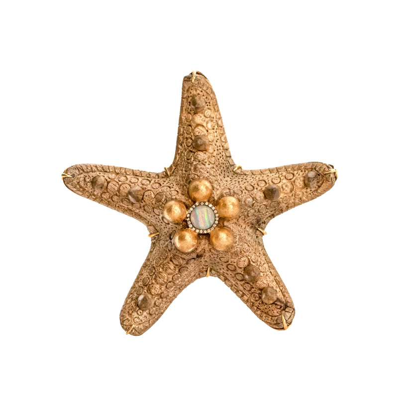 Silvia Furmanovich Starfish Brooch