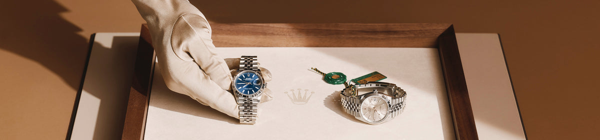 Gloved hand presenting two Rolex Datejust watches on a wooden presentation tray