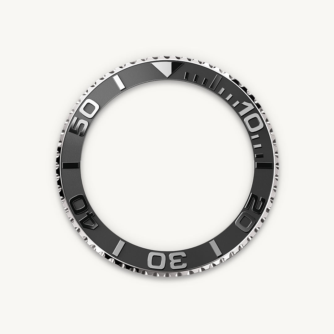 Bidirectional Rotatable Bezel
