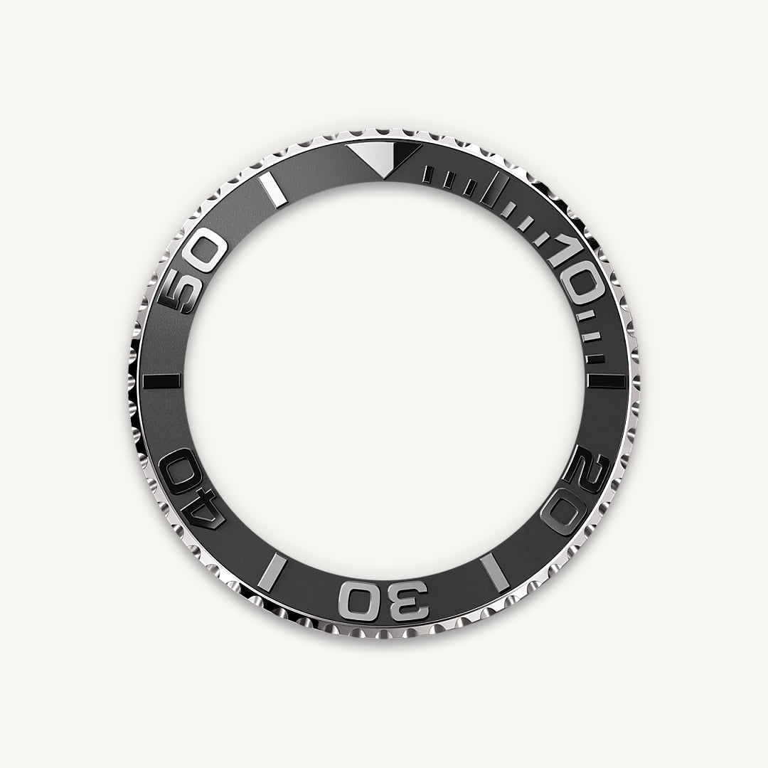 Bidirectional Rotatable Bezel