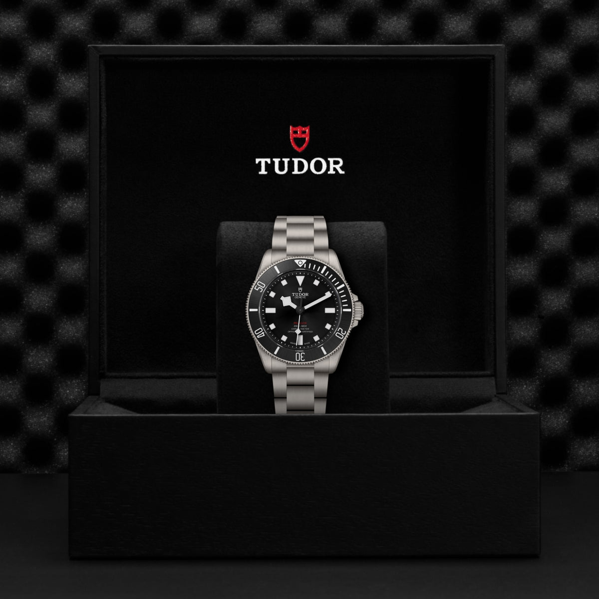 TUDOR Pelagos 39 M25407N-0001 Watch