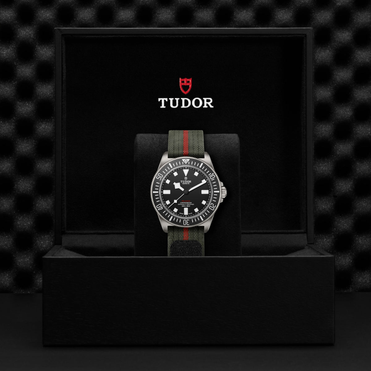 TUDOR Pelagos FXD M25717N-0001 Watch