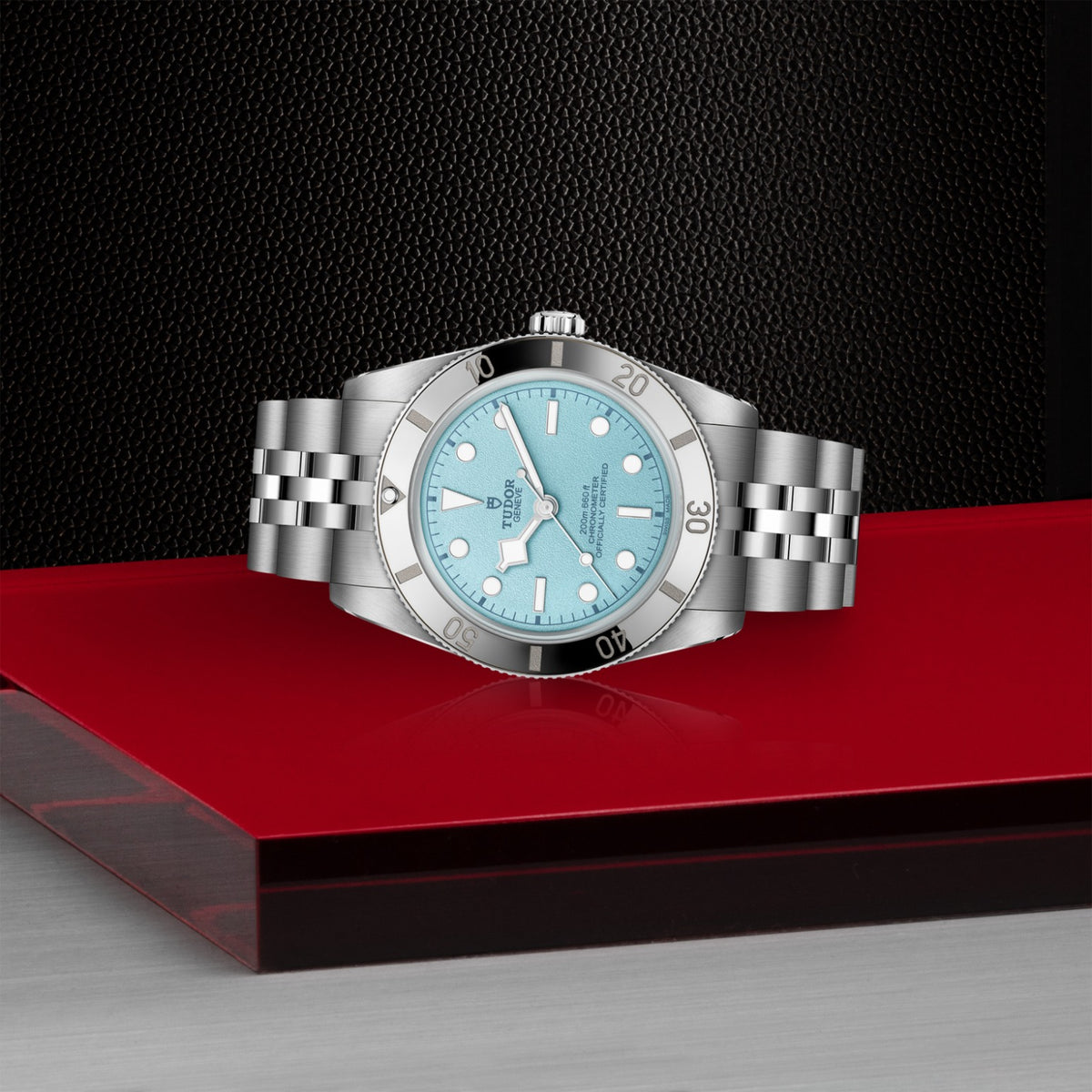 TUDOR Black Bay 54 M79000-0001 Watch