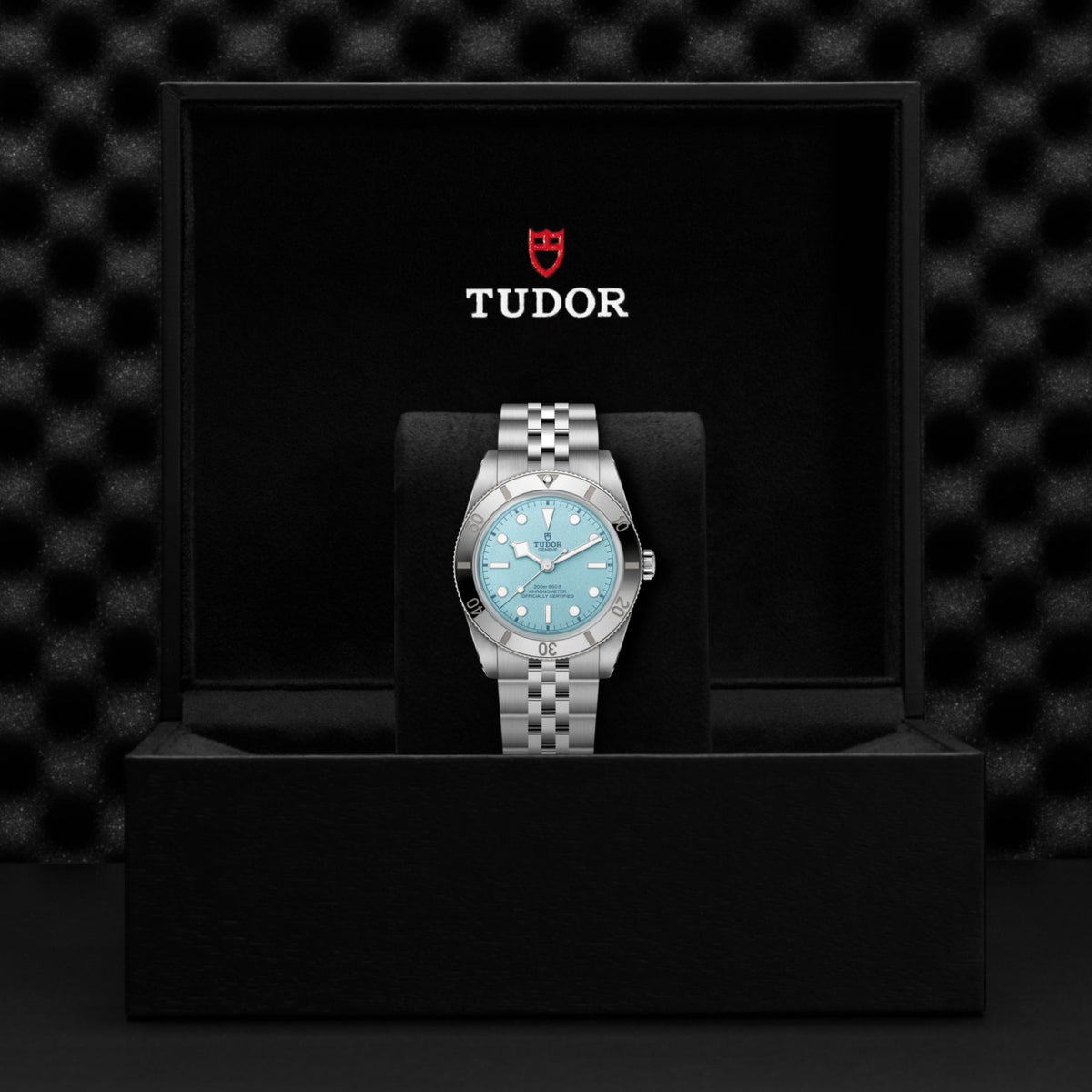 TUDOR Black Bay 54 M79000-0001 Watch