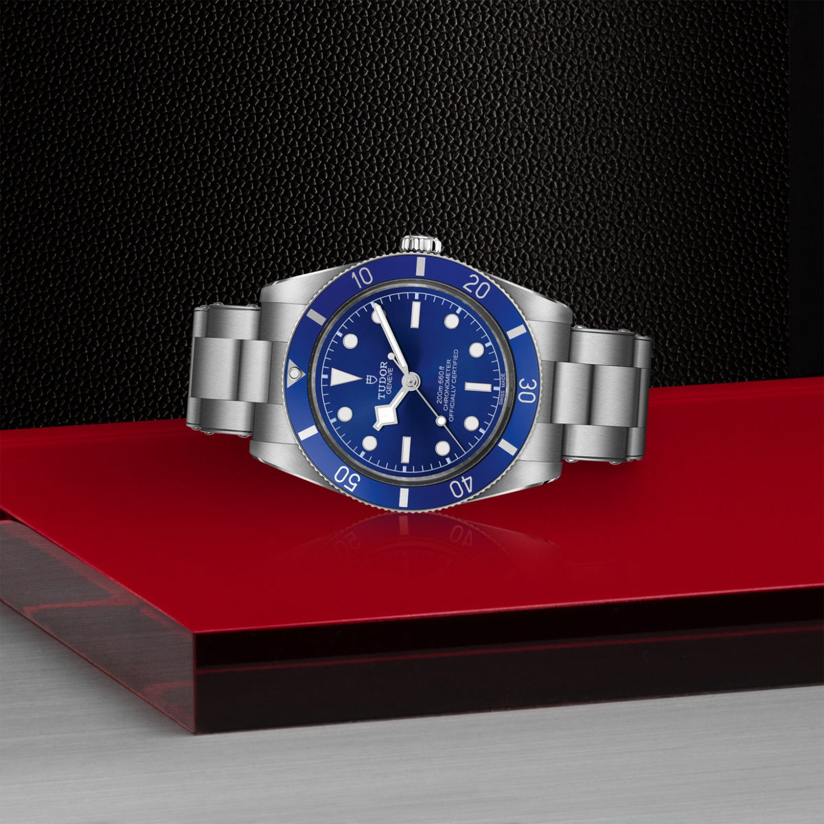 TUDOR Black Bay 54 M79000B-0001 Watch
