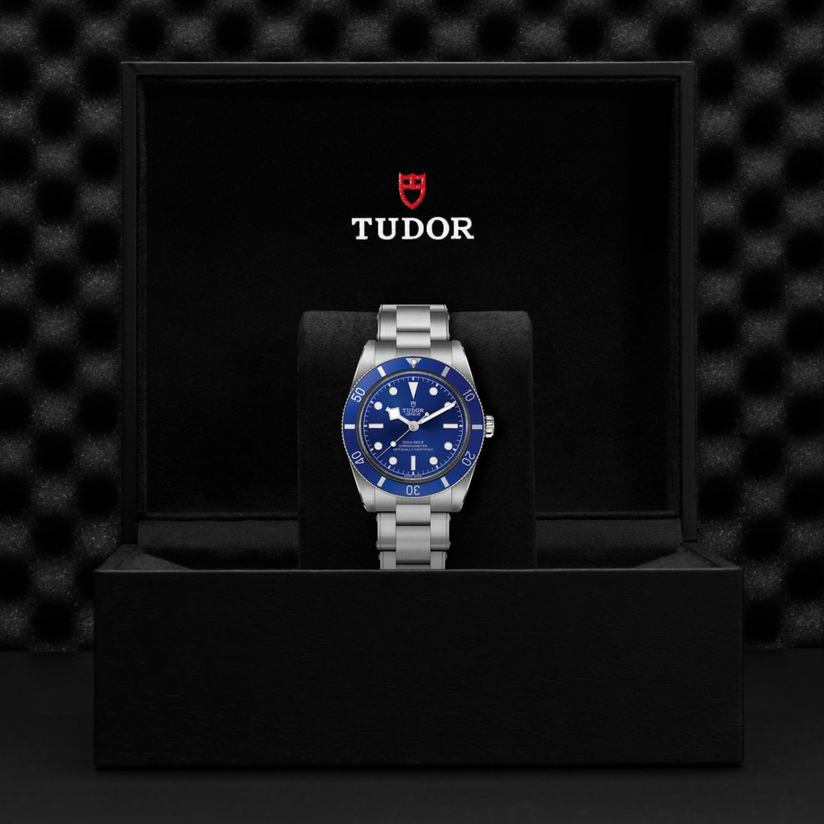 TUDOR Black Bay 54 M79000B-0001 Watch