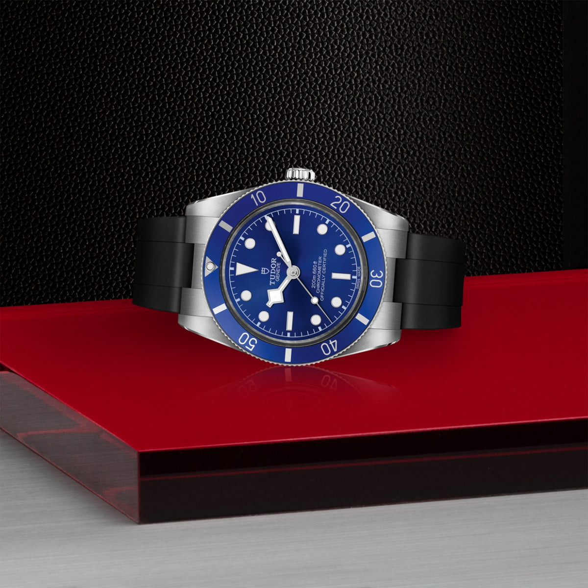 TUDOR Black Bay 54 M79000B-0002 Watch