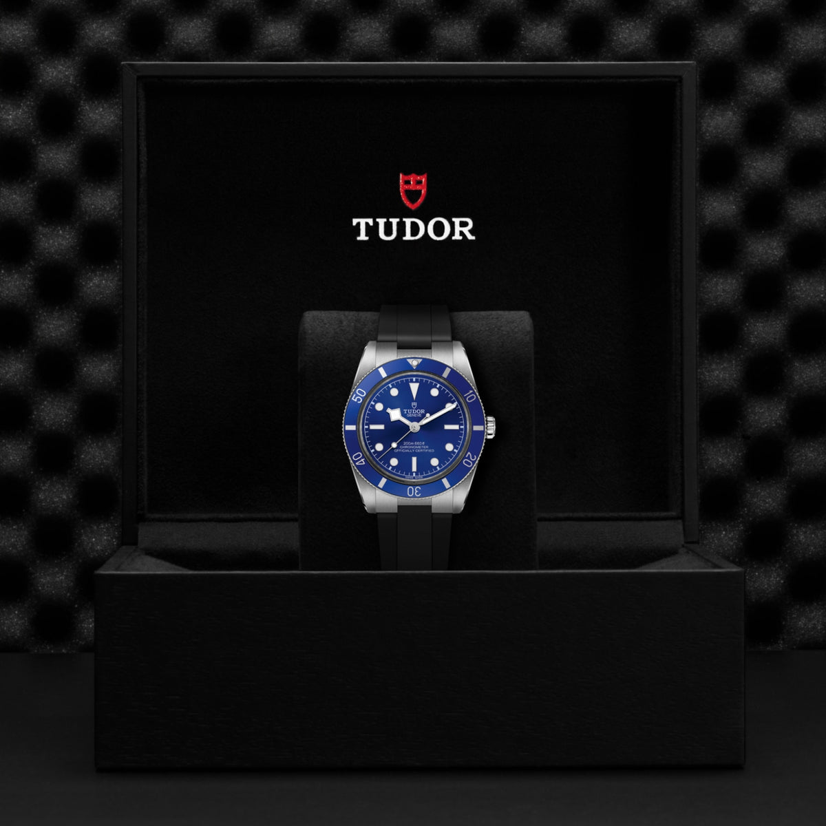 TUDOR Black Bay 54 M79000B-0002 Watch