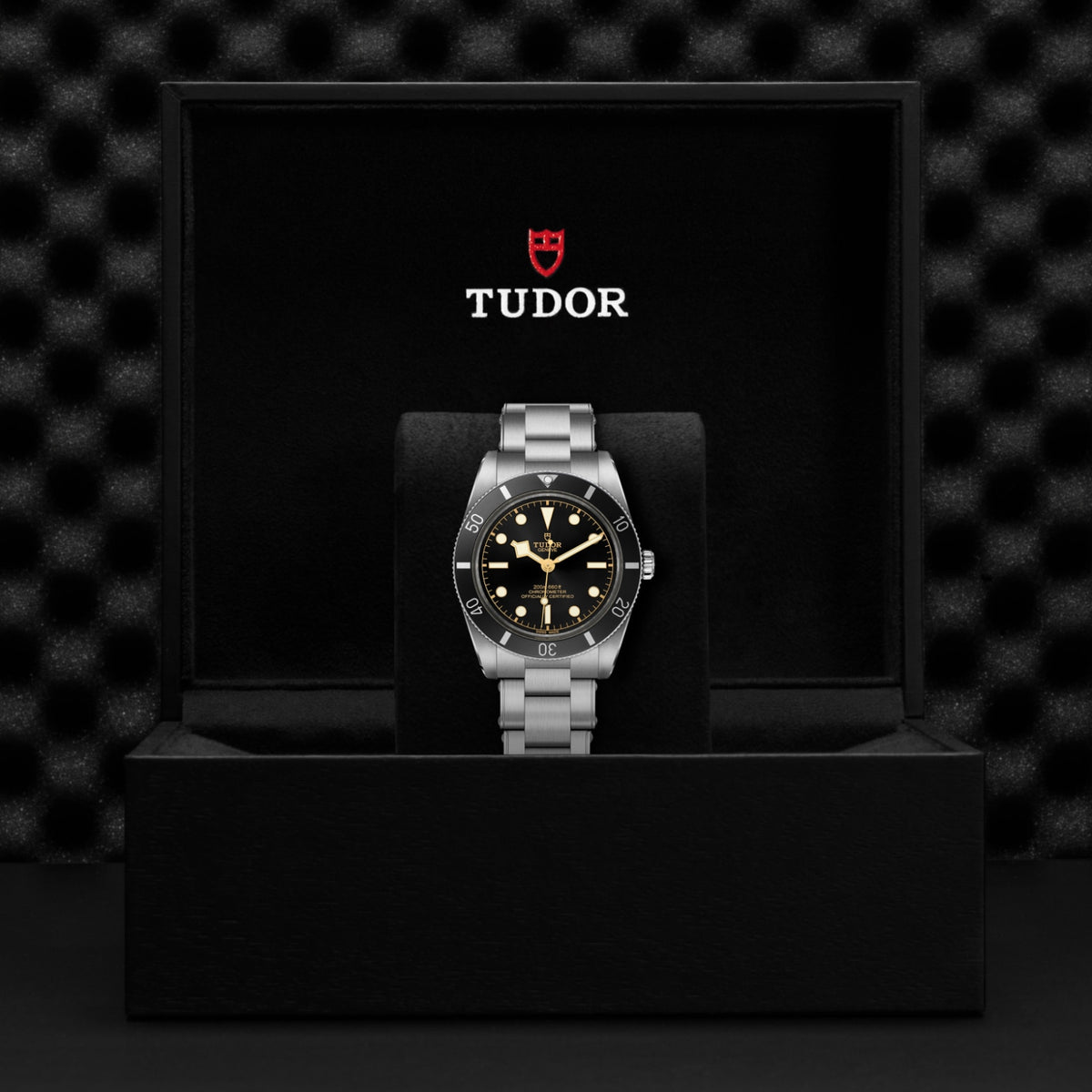 TUDOR Black Bay 54 M79000N-0001 Watch