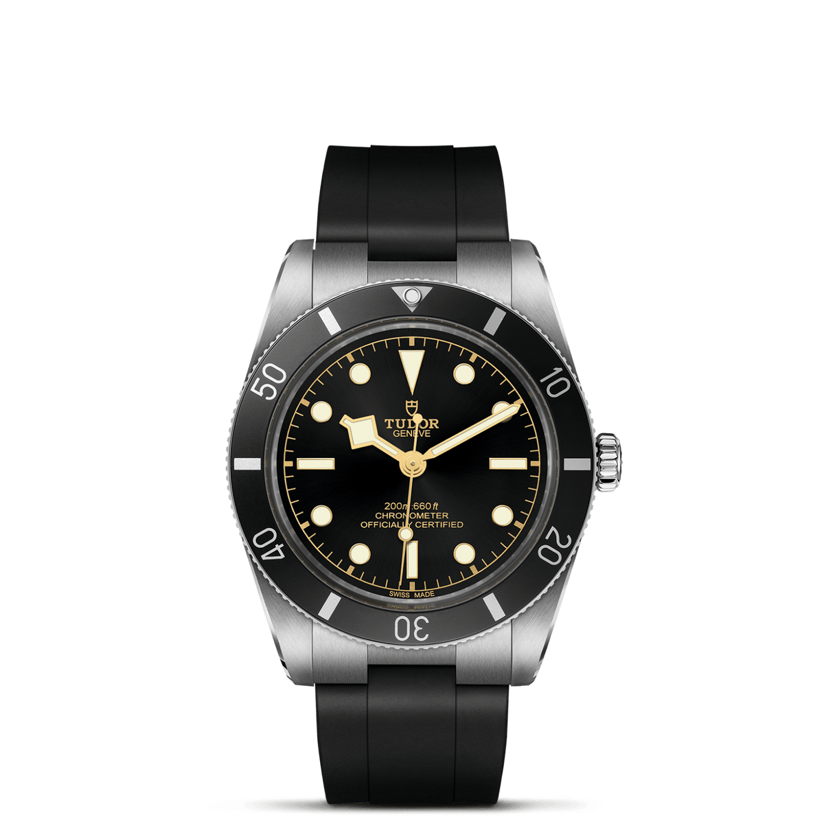 TUDOR Black Bay 54 M79000N-0002 Watch