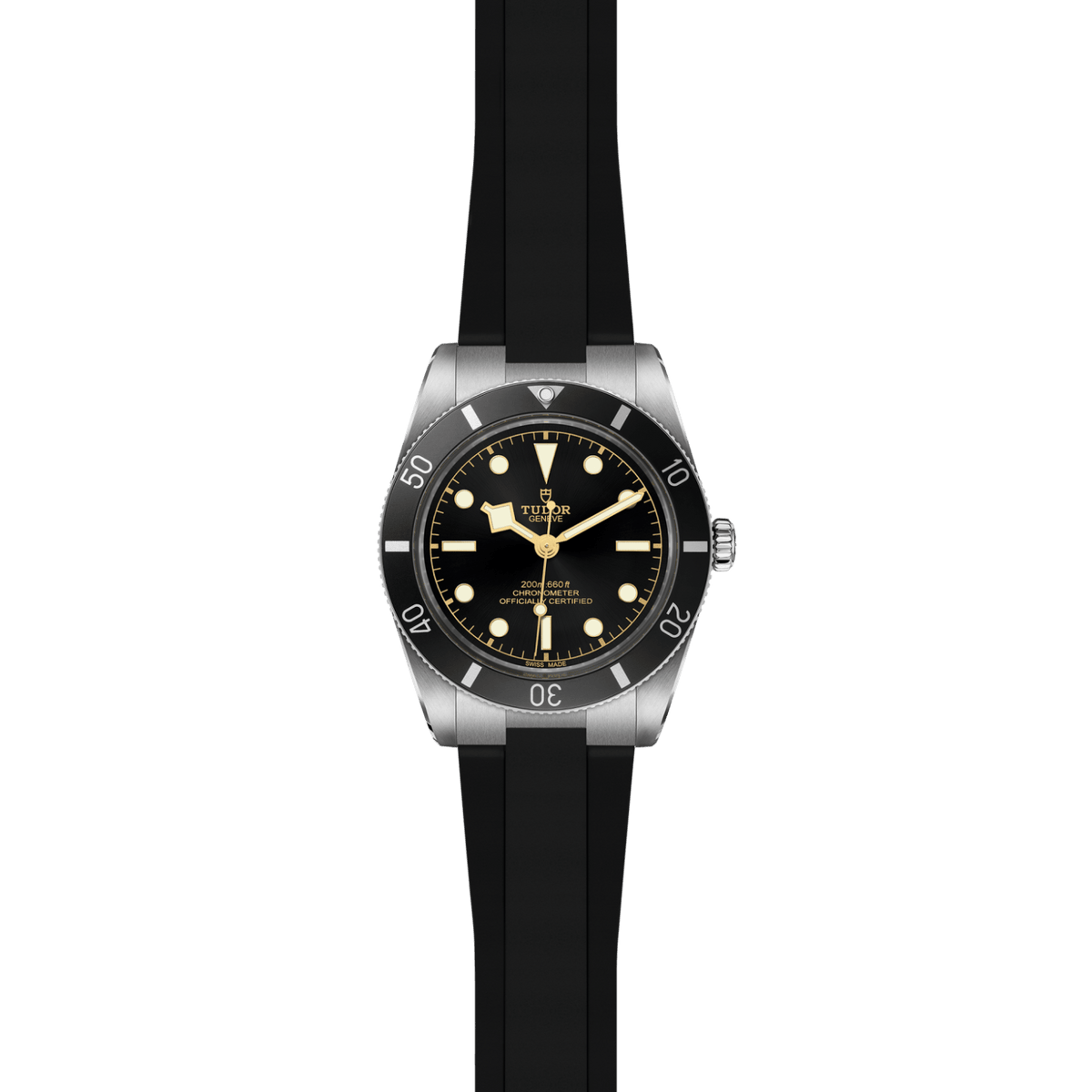 TUDOR Black Bay 54 M79000N-0002 Watch