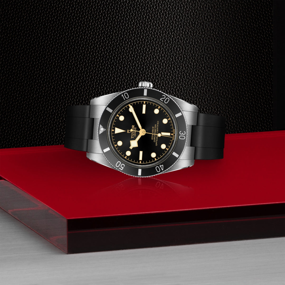 TUDOR Black Bay 54 M79000N-0002 Watch