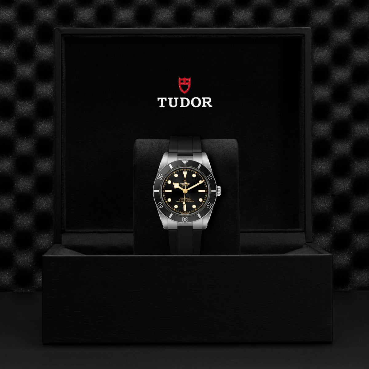 TUDOR Black Bay 54 M79000N-0002 Watch