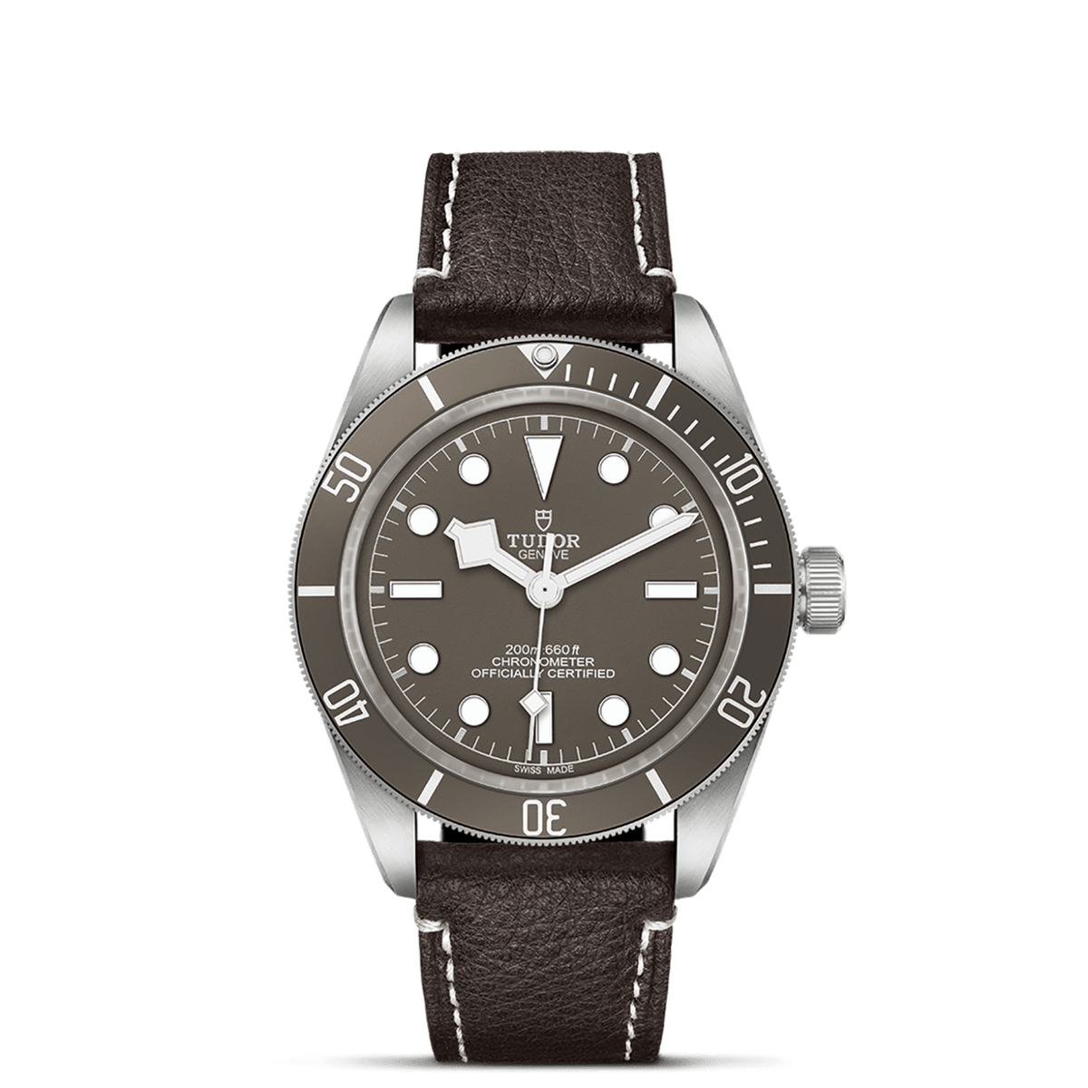 TUDOR Black Bay 58 925 M79010SG-0001 Watch