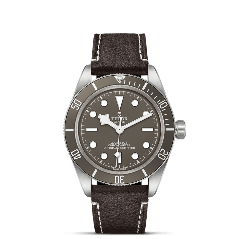 TUDOR Black Bay 58 925 M79010SG-0001 Watch