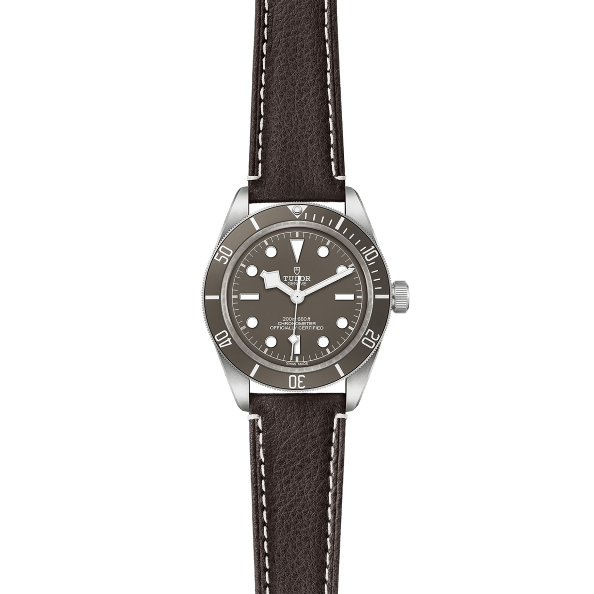 TUDOR Black Bay 58 925 M79010SG-0001 Watch
