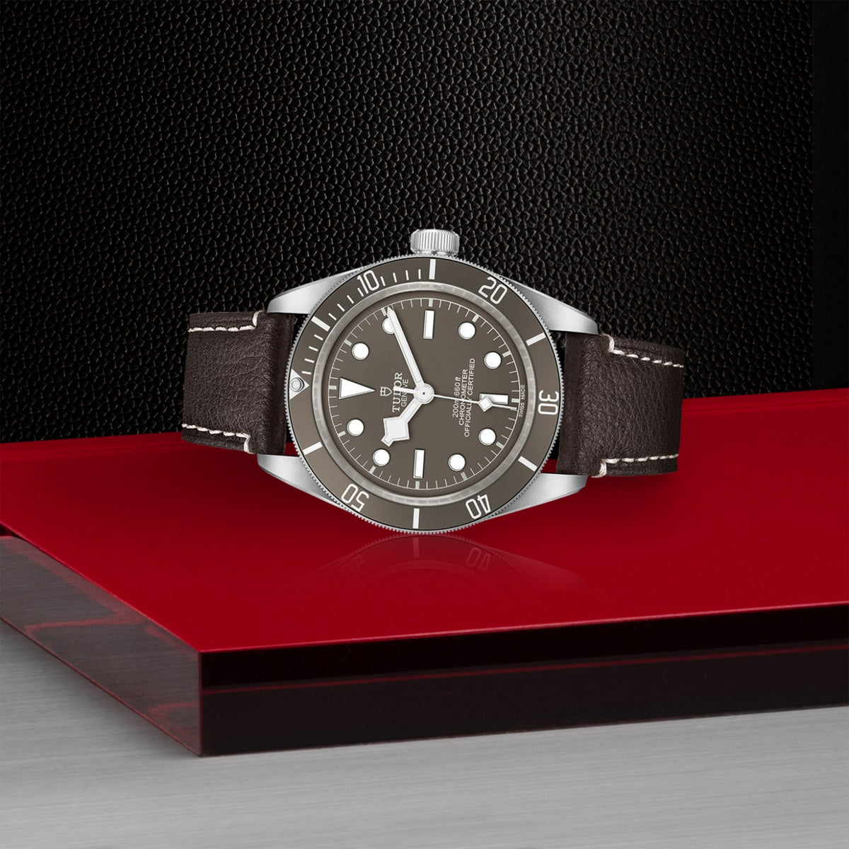 TUDOR Black Bay 58 925 M79010SG-0001 Watch