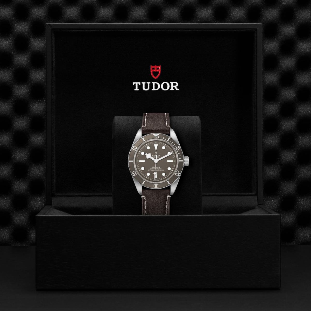 TUDOR Black Bay 58 925 M79010SG-0001 Watch