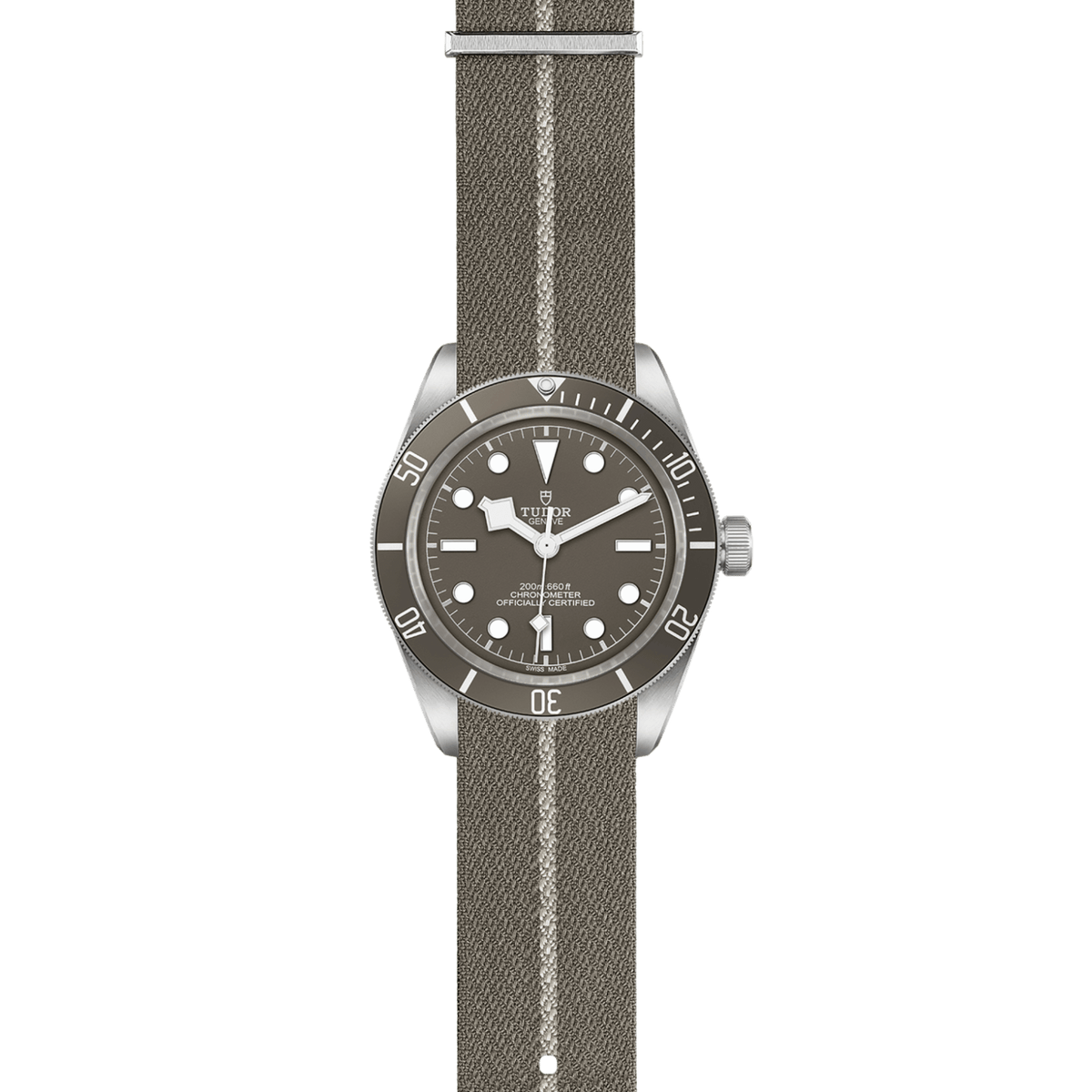 TUDOR Black Bay 58 925 M79010SG-0002 Watch