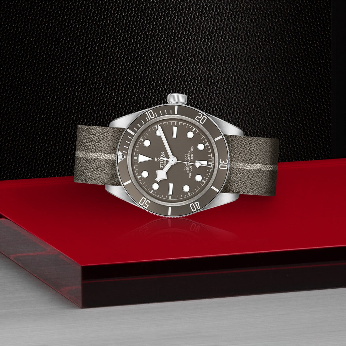TUDOR Black Bay 58 925 M79010SG-0002 Watch