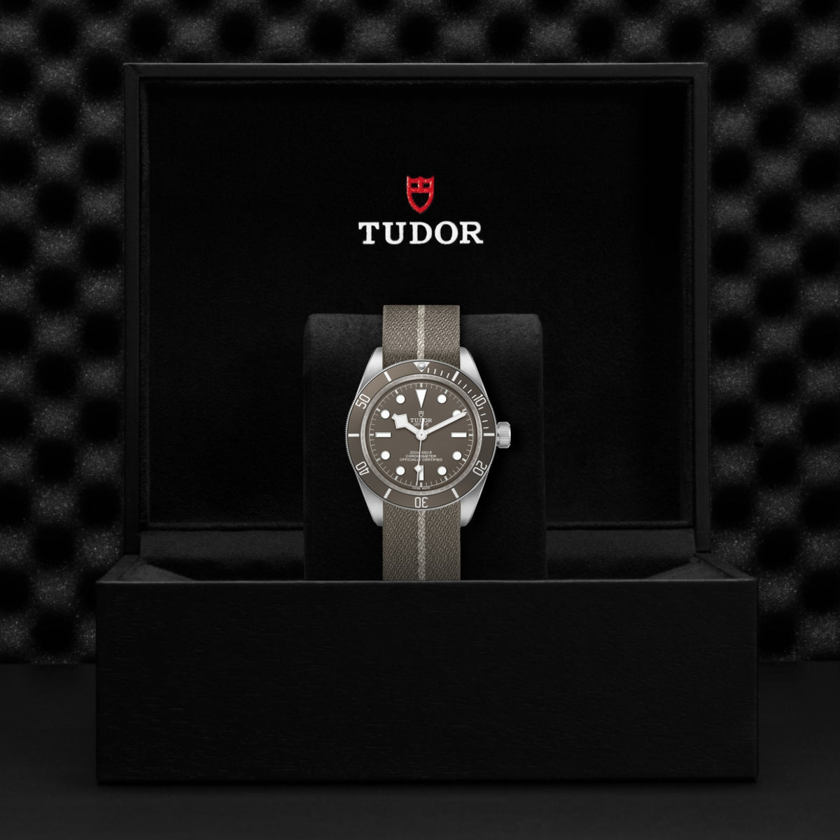 TUDOR Black Bay 58 925 M79010SG-0002 Watch