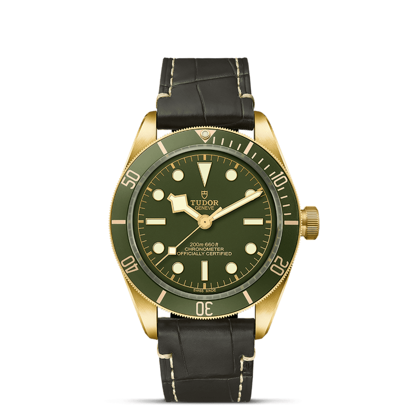 TUDOR Black Bay 58 18K M79018V-0001 Watch