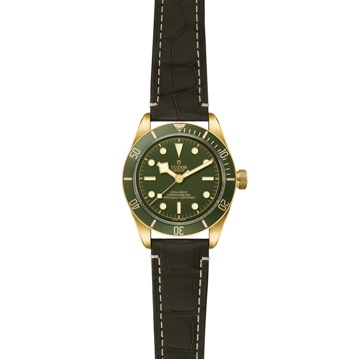 TUDOR Black Bay 58 18K M79018V-0001 Watch
