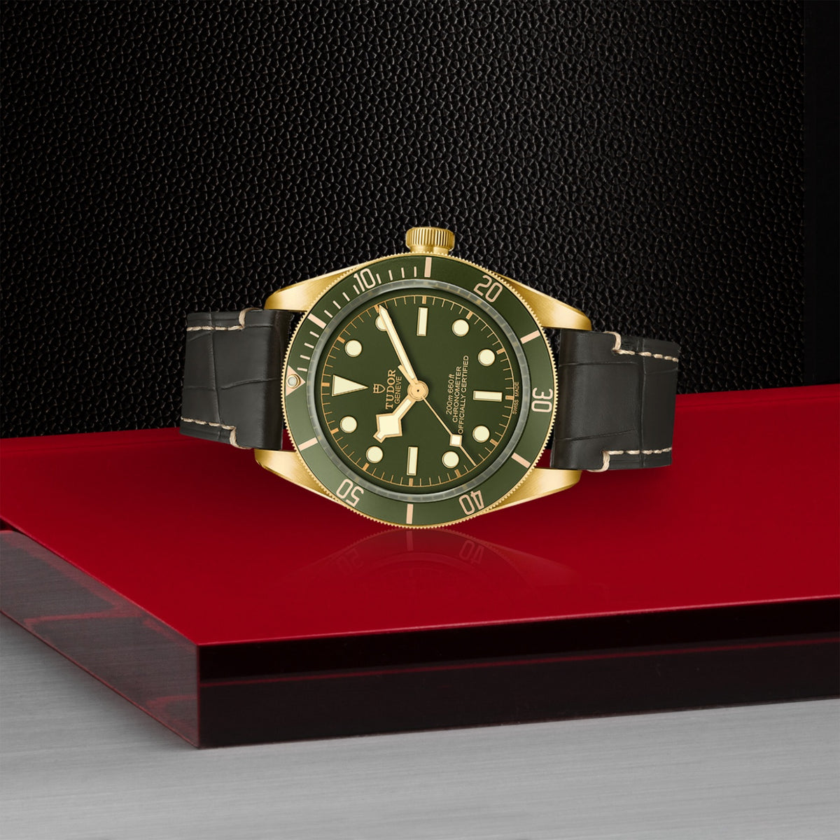 TUDOR Black Bay 58 18K M79018V-0001 Watch