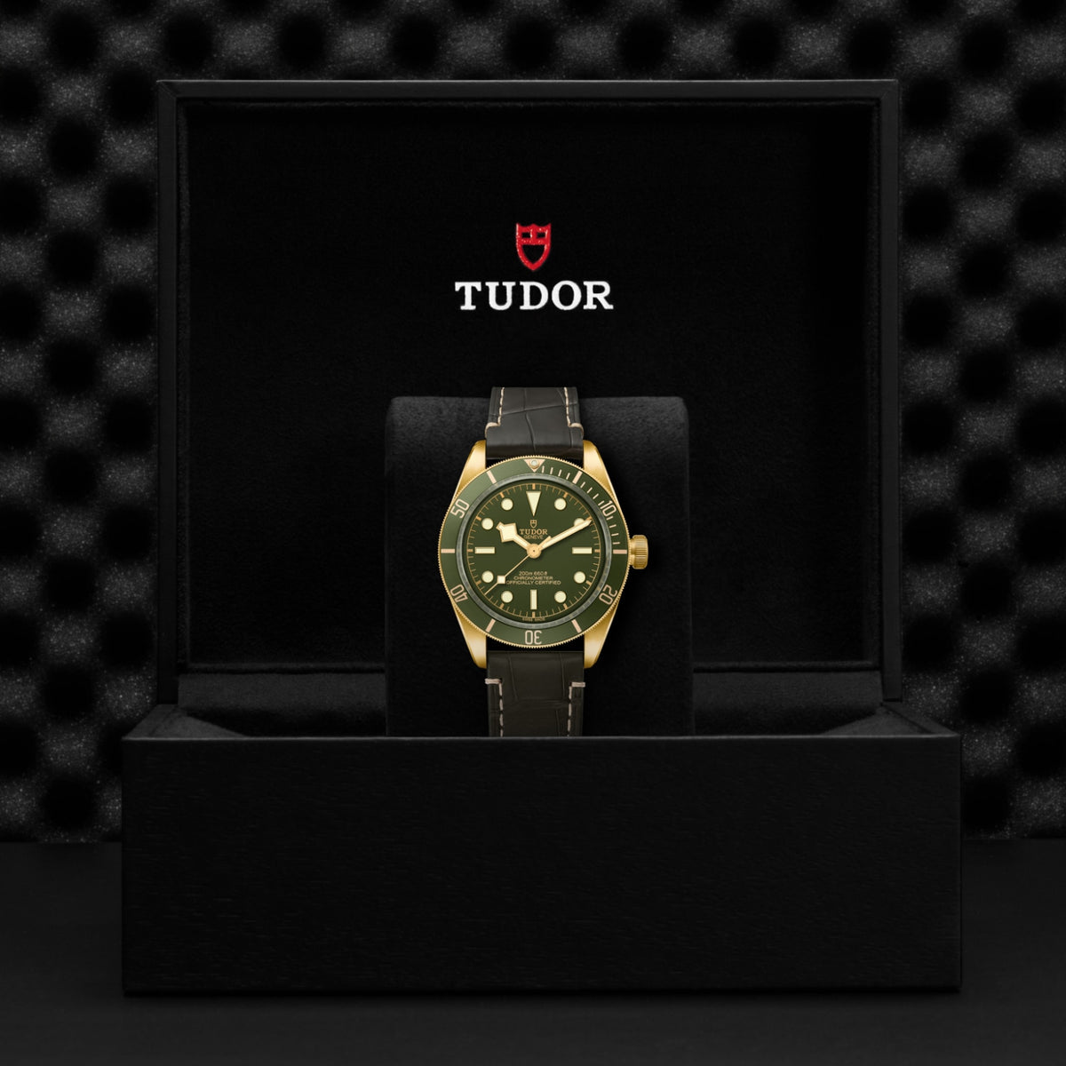 TUDOR Black Bay 58 18K M79018V-0001 Watch