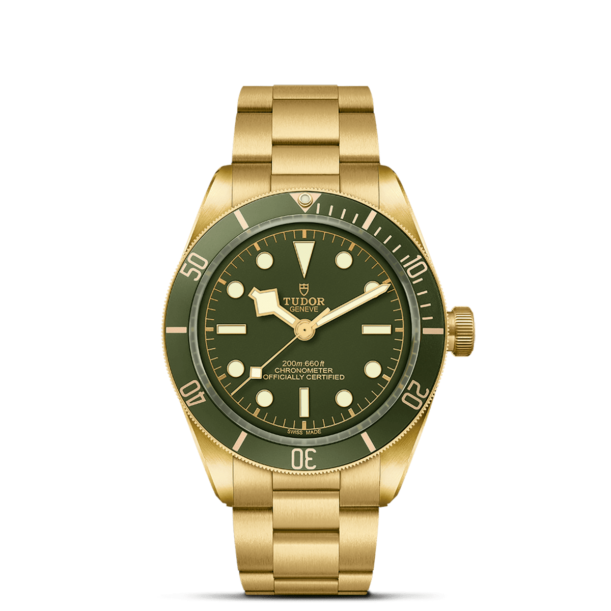 TUDOR Black Bay 58 18K M79018V-0006 Watch