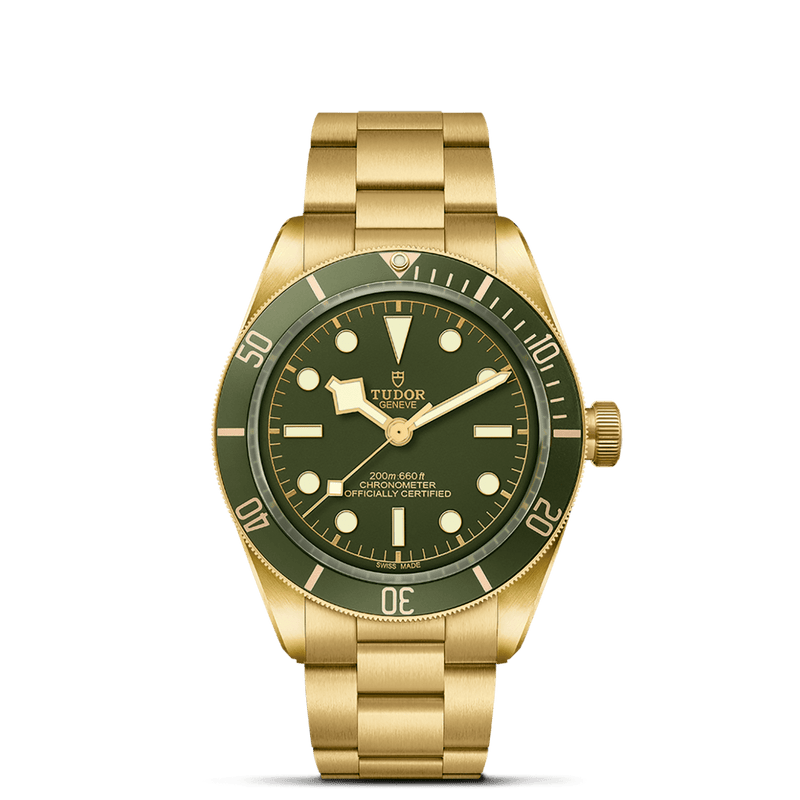 TUDOR Black Bay 58 18K M79018V-0006 Watch