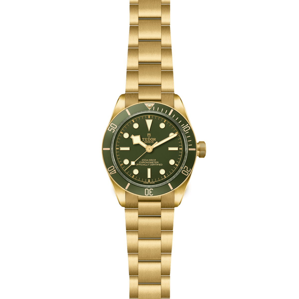 TUDOR Black Bay 58 18K M79018V-0006 Watch