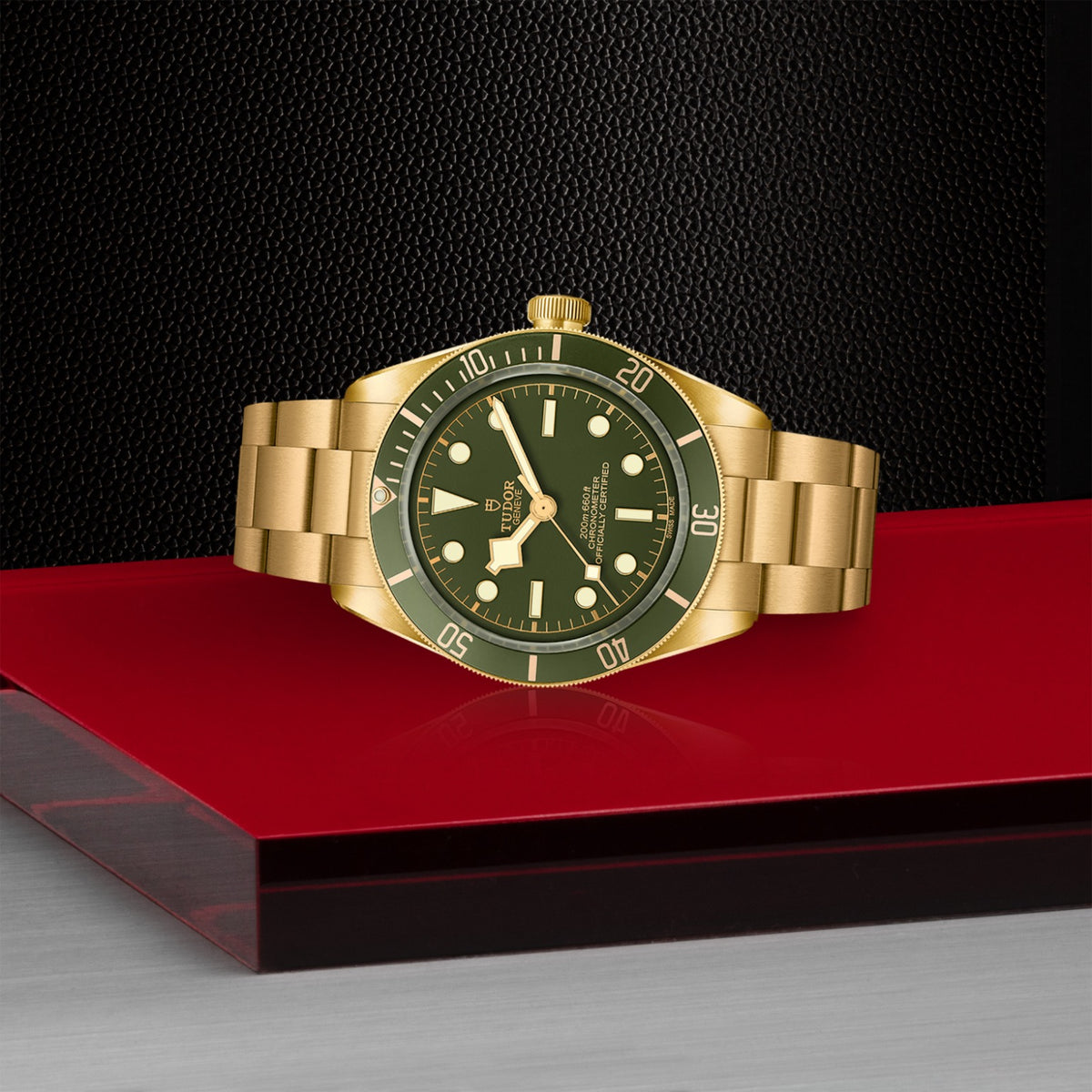 TUDOR Black Bay 58 18K M79018V-0006 Watch