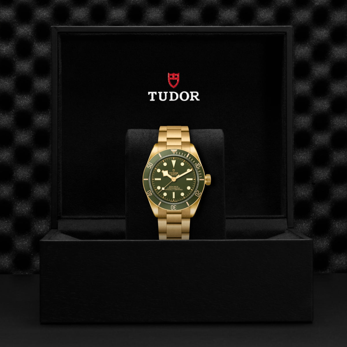 TUDOR Black Bay 58 18K M79018V-0006 Watch