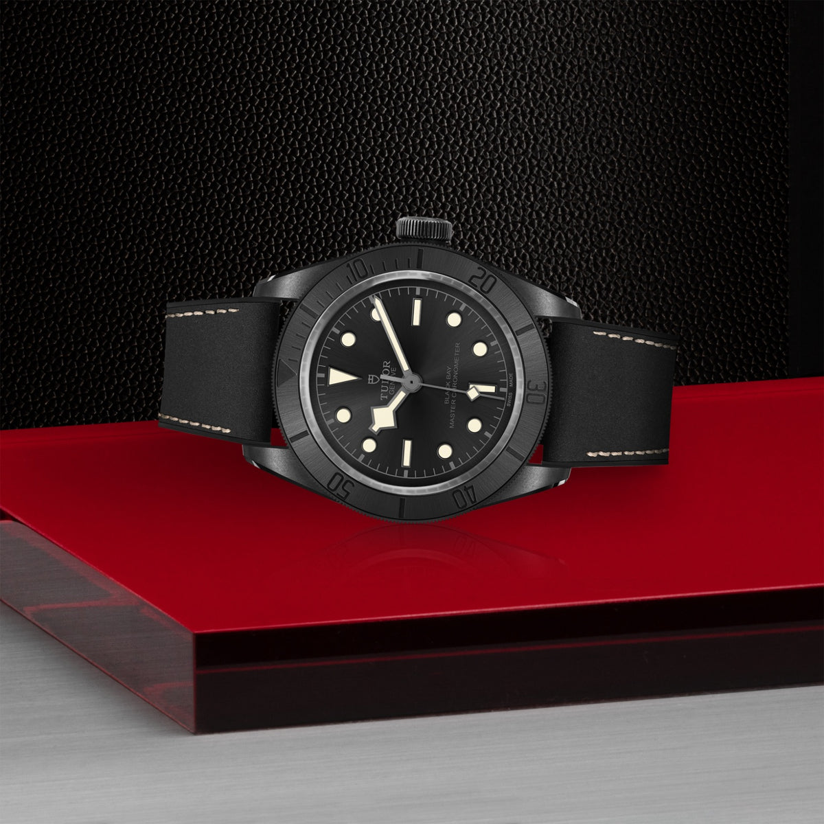TUDOR Black Bay Ceramic M79210CNU-0001 Watch