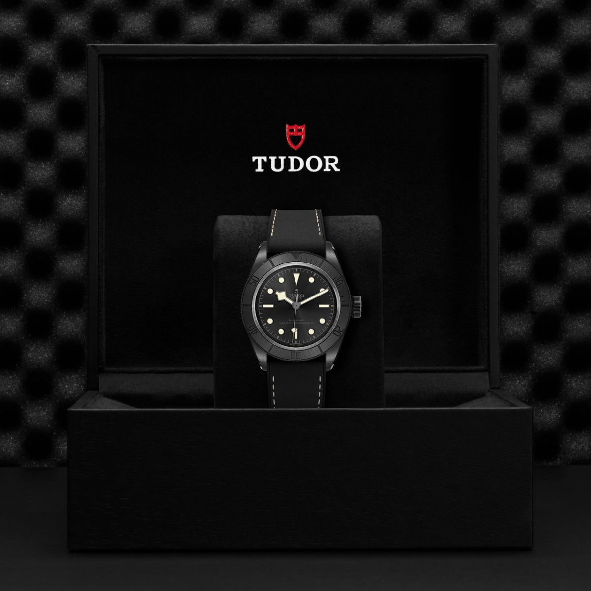 TUDOR Black Bay Ceramic M79210CNU-0001 Watch