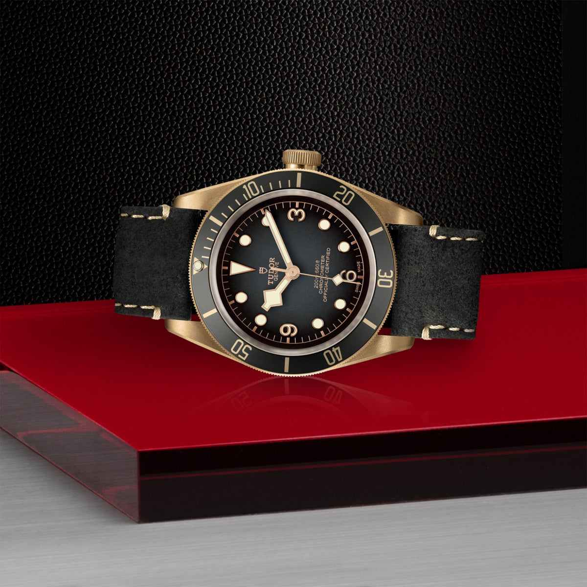 TUDOR Black Bay Bronze M79250BA-0001 Watch