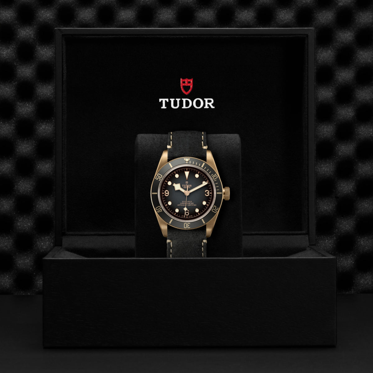 TUDOR Black Bay Bronze M79250BA-0001 Watch
