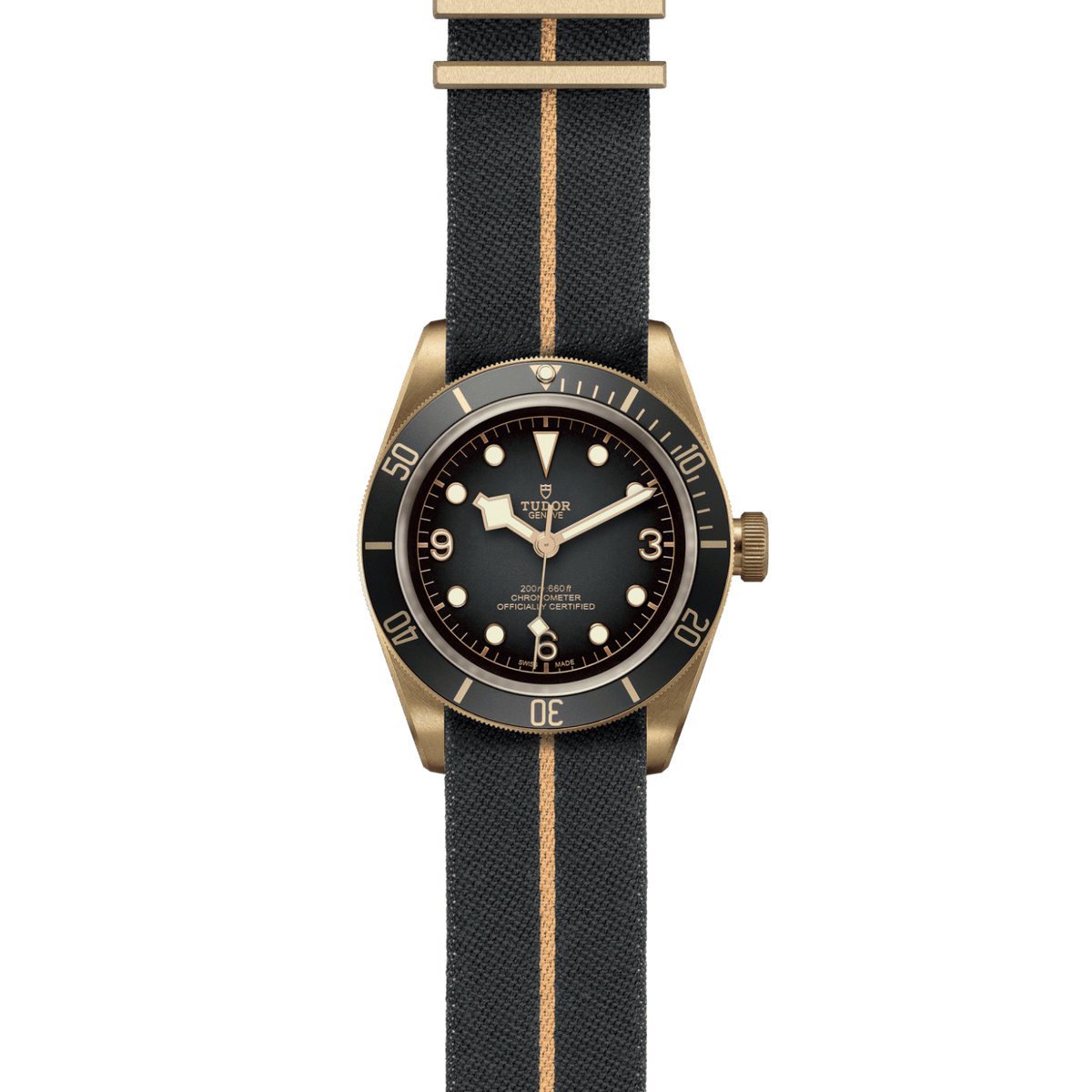 TUDOR Black Bay Bronze M79250BA-0002 Watch