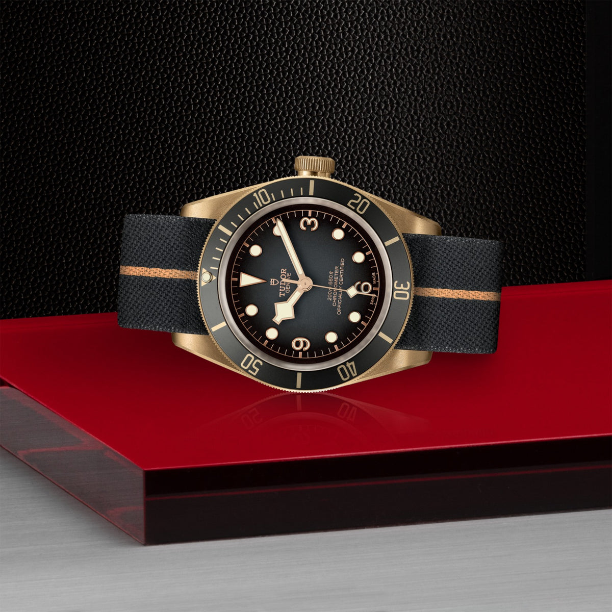 TUDOR Black Bay Bronze M79250BA-0002 Watch
