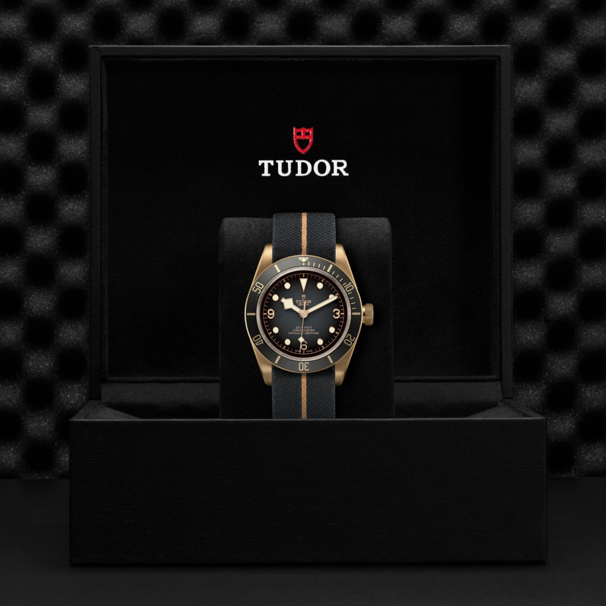 TUDOR Black Bay Bronze M79250BA-0002 Watch