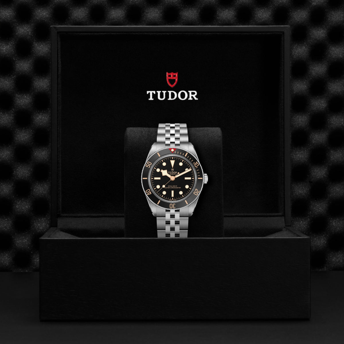TUDOR Black Bay 58 M7939A1A0NU-0001 Watch