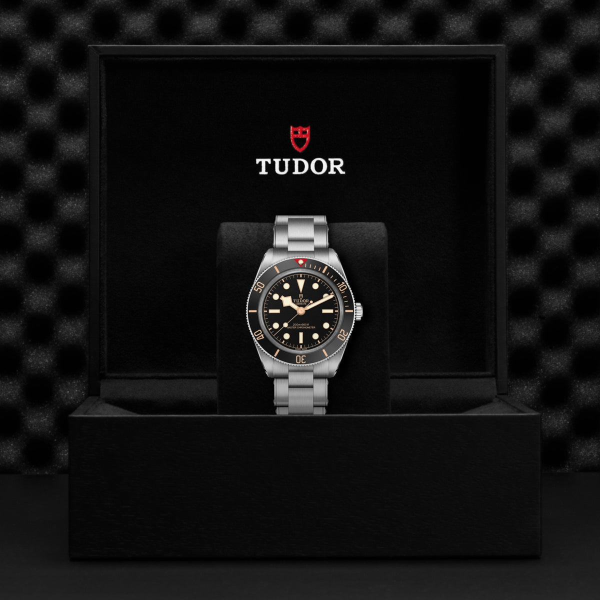 TUDOR Black Bay 58 M7939A1A0NU-0002 Watch