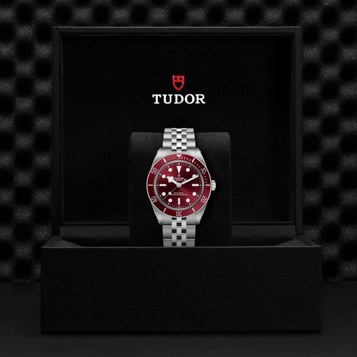 TUDOR Black Bay 58 M7939A1A0RU-0001 Watch